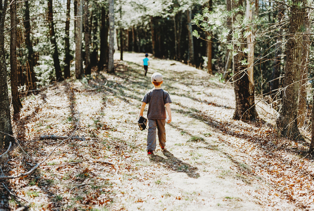 woods at brimfield dam