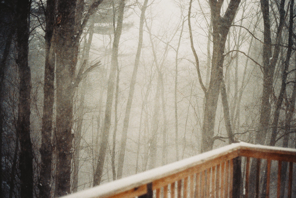 snow blowing through the trees